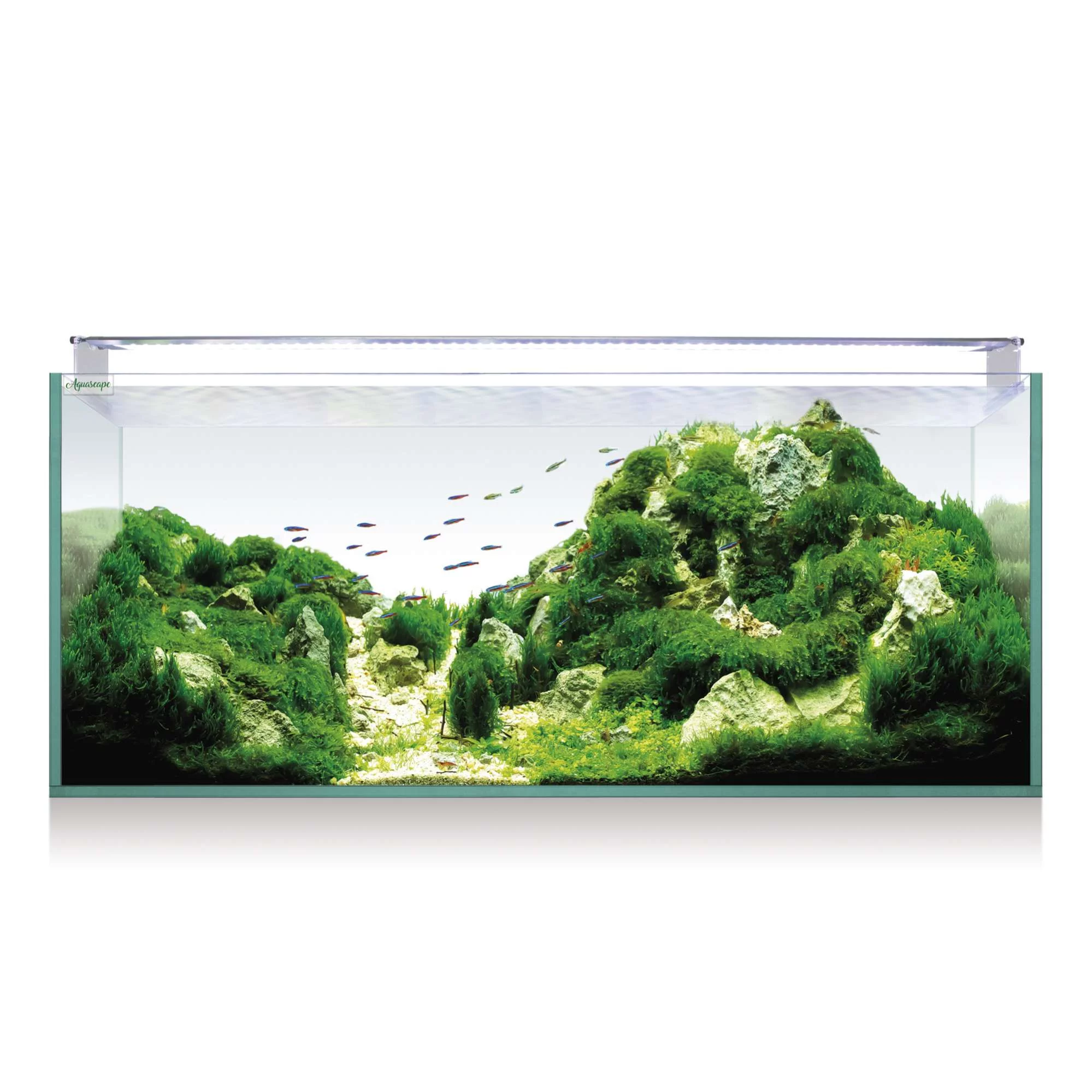 Tetra - AlguMin - 100 ml  Aquasabi - Aquascaping Shop