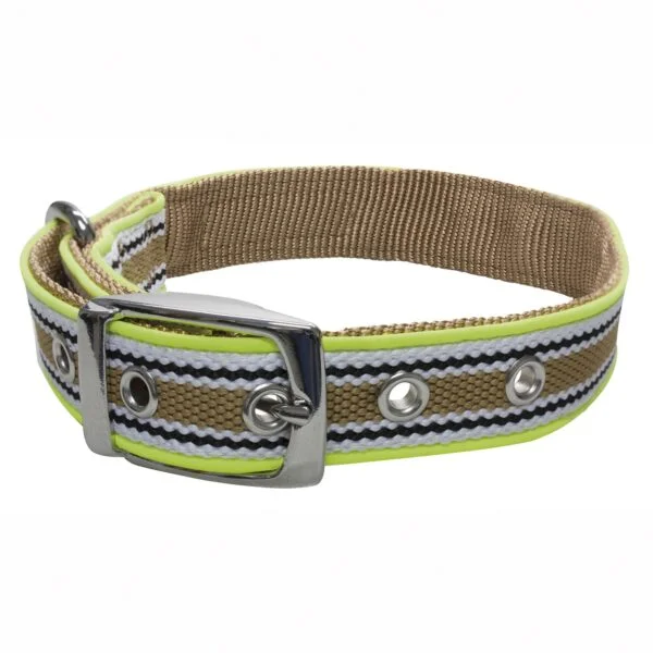 dl6201-collar-traffic-xt-dog_general_1436.jpg